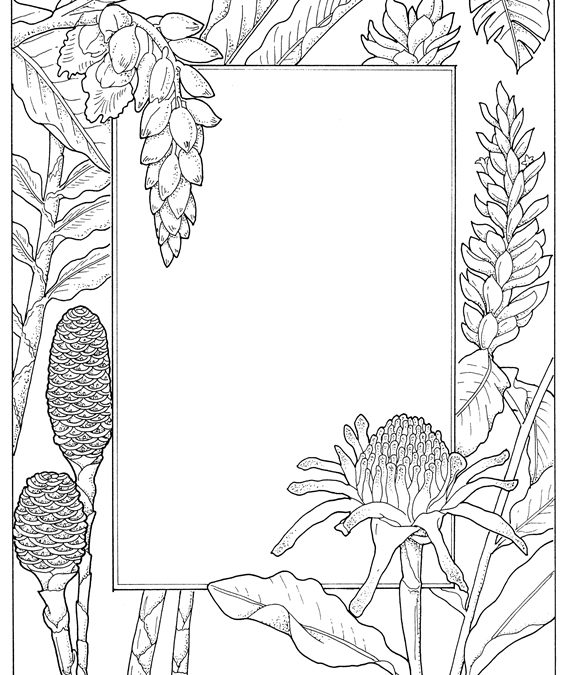 Free Coloring Nature Stationery