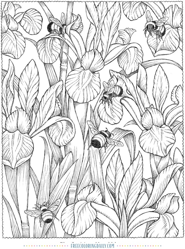 Free Bees & Flowers Coloring