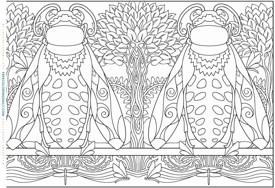 Free Dragonfly Coloring Page