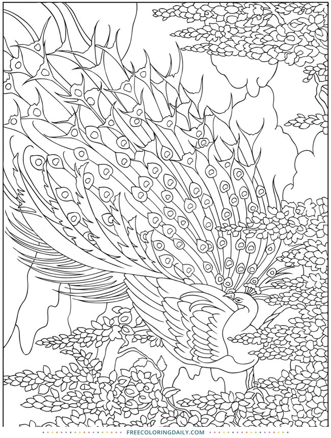 Free Peacock Coloring Page