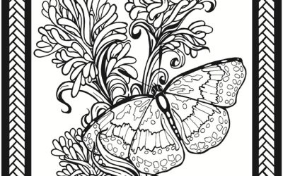 Free Butterfly Coloring Sheet