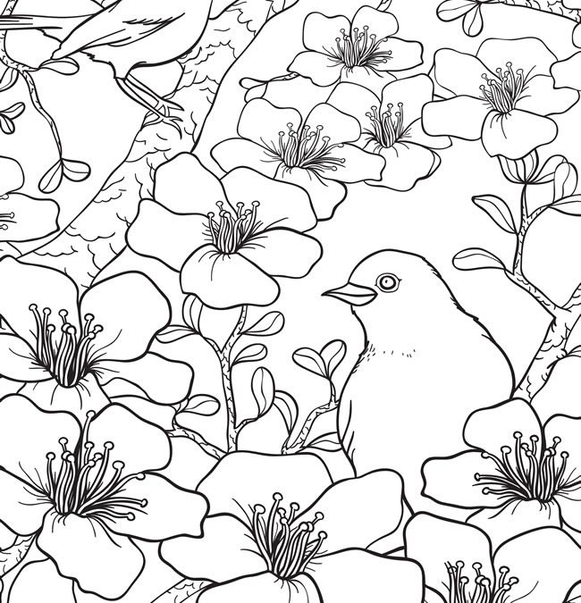 Free Birds and Flowers Coloring