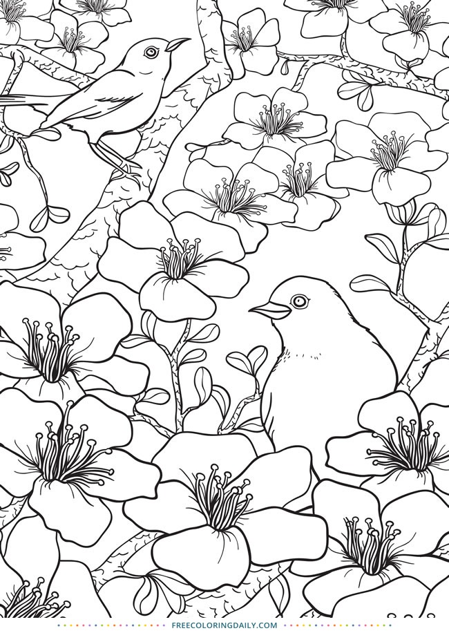 Free Birds and Flowers Coloring