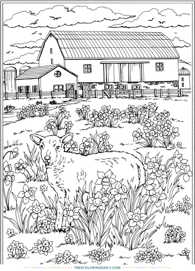 Free Farm & Lamb Coloring