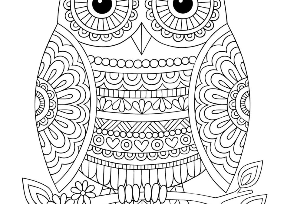 Patterned Owl – Free Coloring