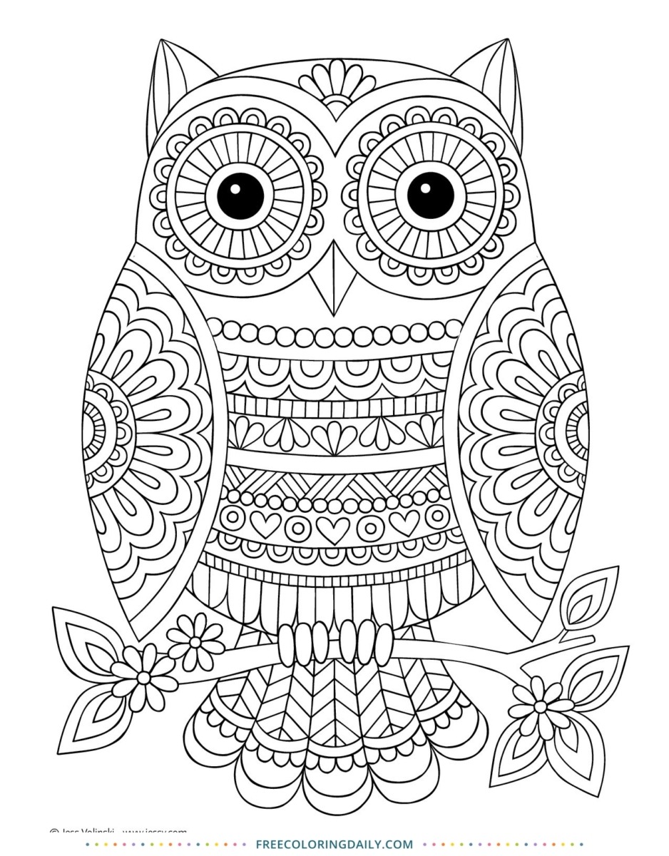 Patterned Owl – Free Coloring