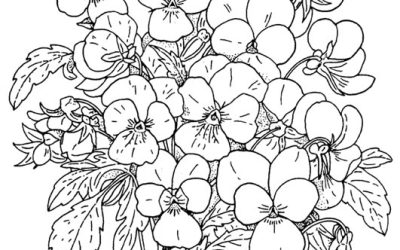 Free Floral Coloring Page