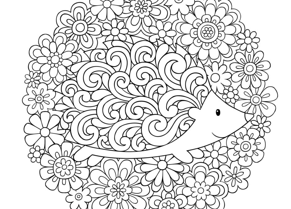 Free Hedgehog Coloring Sheet