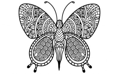 Free Patterned Butterfly Coloring