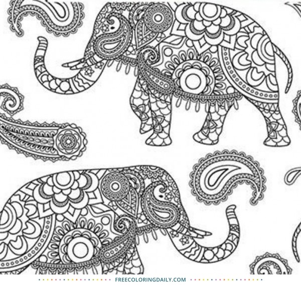 Free Boho Elephant Coloring