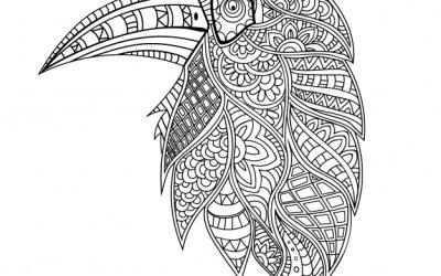 Pretty Patterned Parrot Page