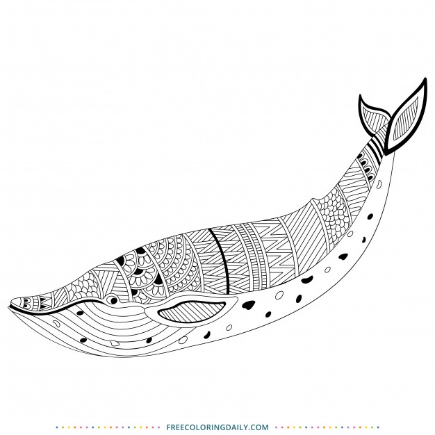 Free Pattern Whale Coloring