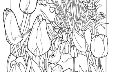Free Bunny and Tulip Coloring
