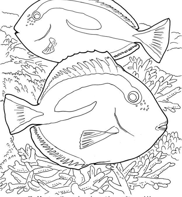 Free Fish Coloring Sheet