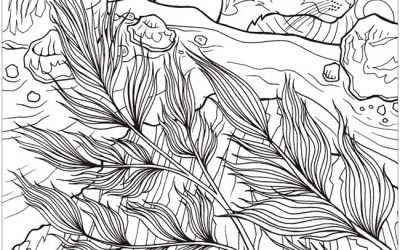 Free Nature Coloring Page