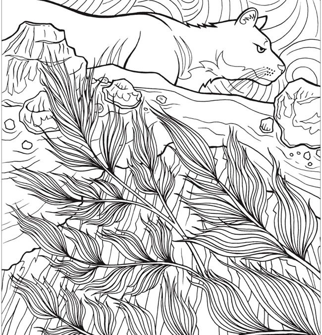 Free Nature Coloring Page