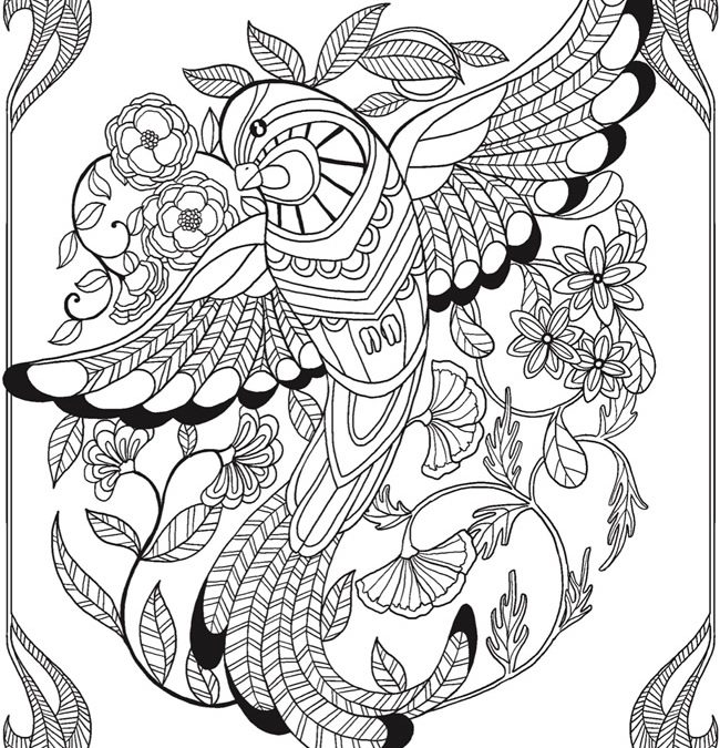 Free Stunning Tropical Bird Printable Coloring