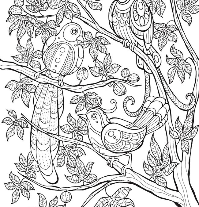 Free Tropical Birds Coloring Page