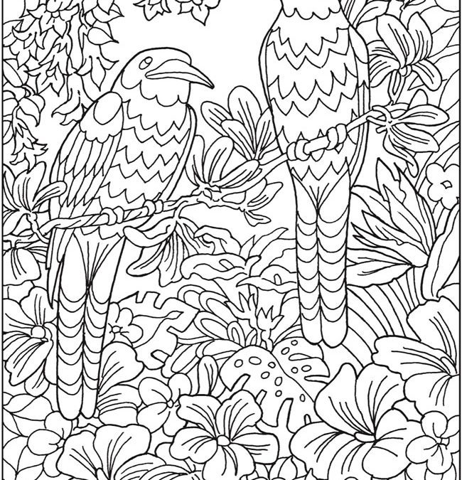 Tropical Birds Free Coloring Page