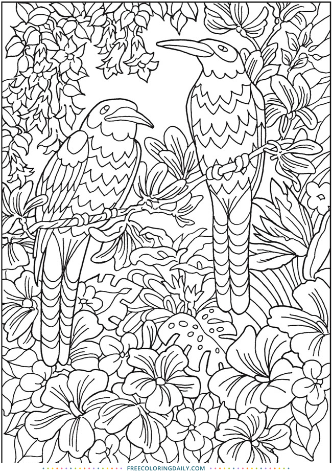 Tropical Birds Free Coloring Page