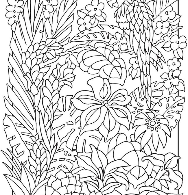 Tropical Scene Free Coloring