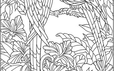 Free Jungle Coloring Page