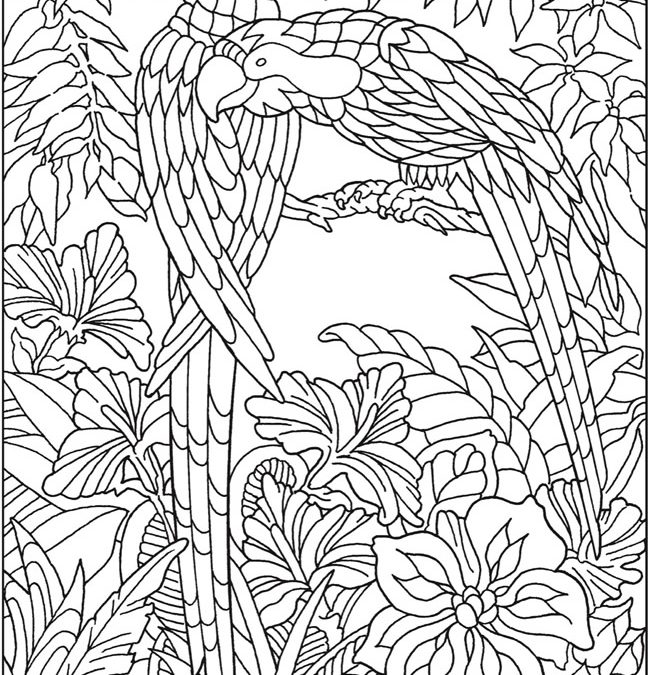 Free Jungle Coloring Page