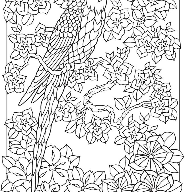 Free Jungle Bird Coloring Page