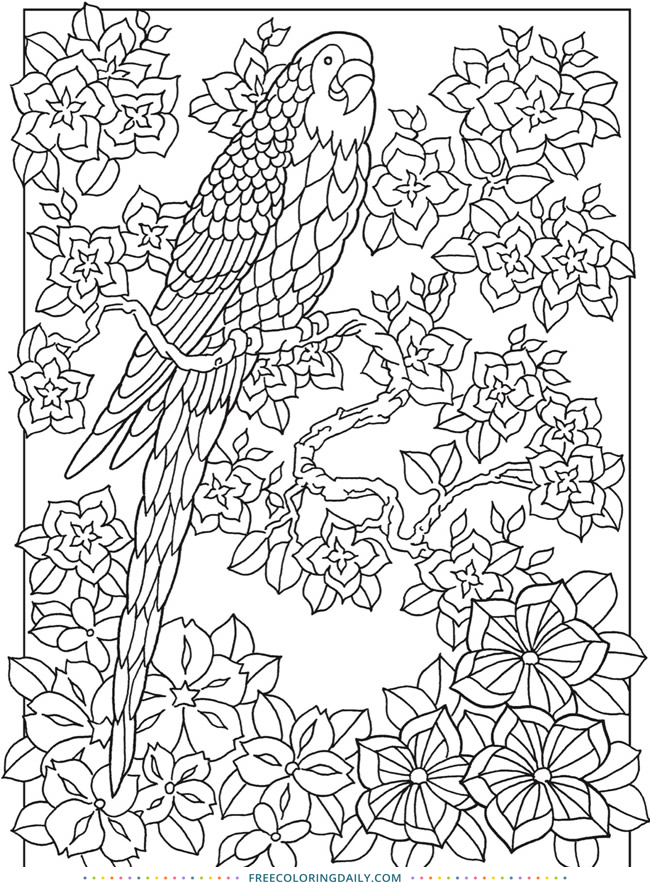 Free Jungle Bird Coloring Page