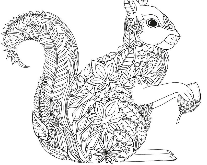 Free Patterned Squirrel Coloring