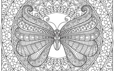 Gorgeous Butterfly Free Coloring Page