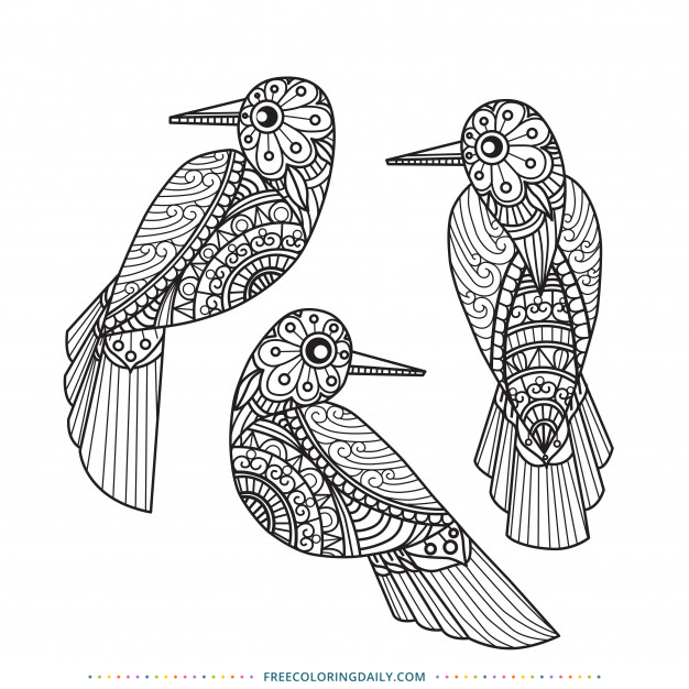 Free Patterned Birds Coloring