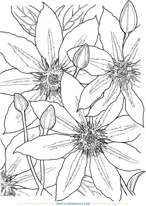 free-floral-coloring-page-free-coloring-daily