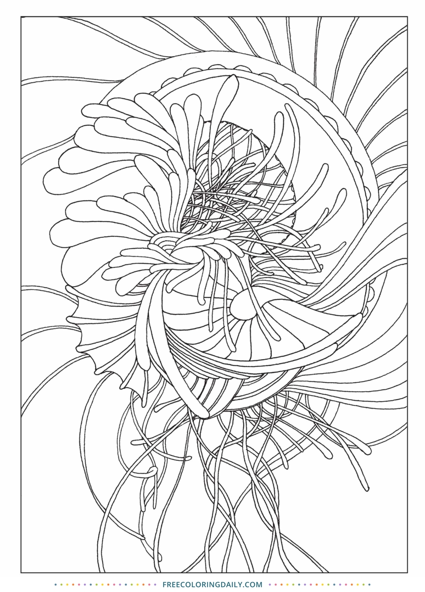 Free Pattern Coloring Page