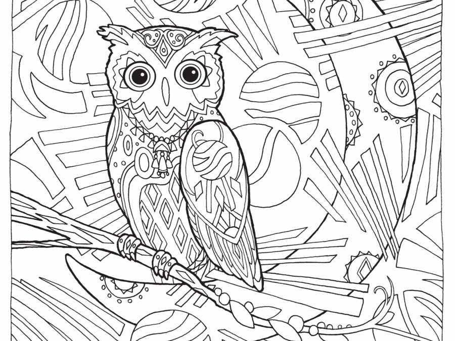 Free Owl Coloring Page