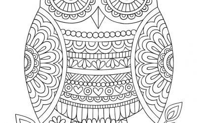 Free Cute Owl Coloring Page
