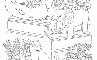 Free Succulent Coloring Page