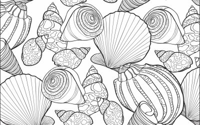 Free Seashell Coloring