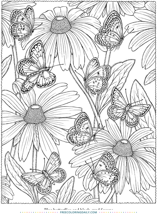 Free Butterfly Floral Coloring