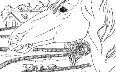 Free Horse Coloring page
