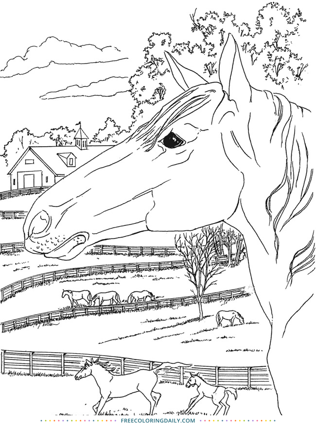 Free Horse Coloring page