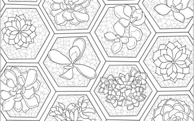 Free Succulents Coloring