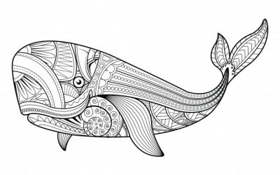 Free Whale Zentangle Coloring