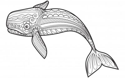 Free Patterned Whale Coloring Page