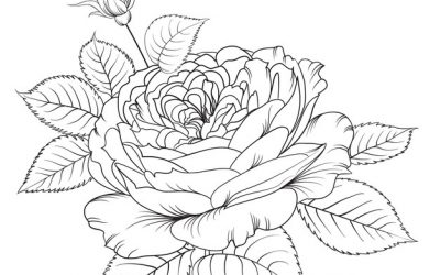 Free Rose Coloring Page