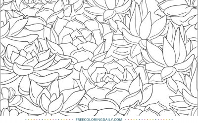 Free Succulents Coloring Page