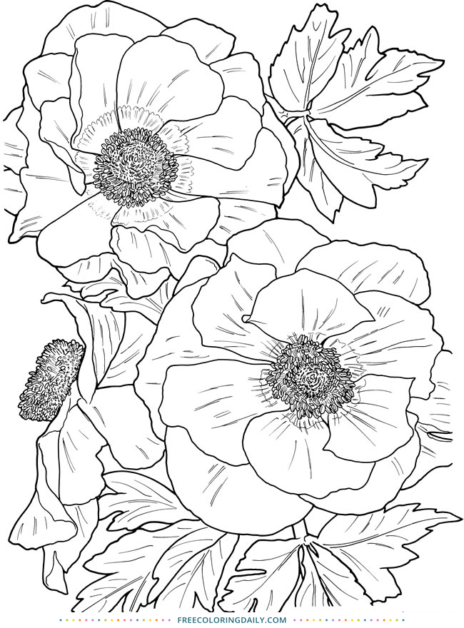 Free Gorgeous Floral Coloring
