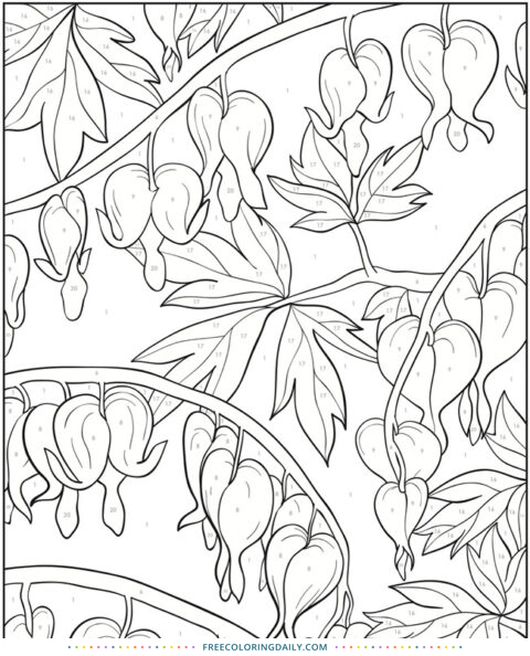 Free Flower Coloring Page | Free Coloring Daily