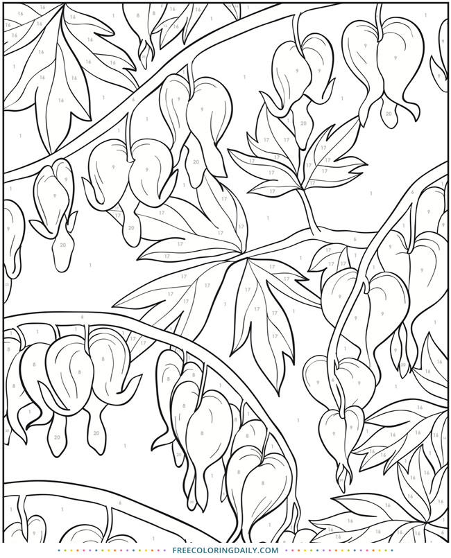 Free Flower Coloring Page