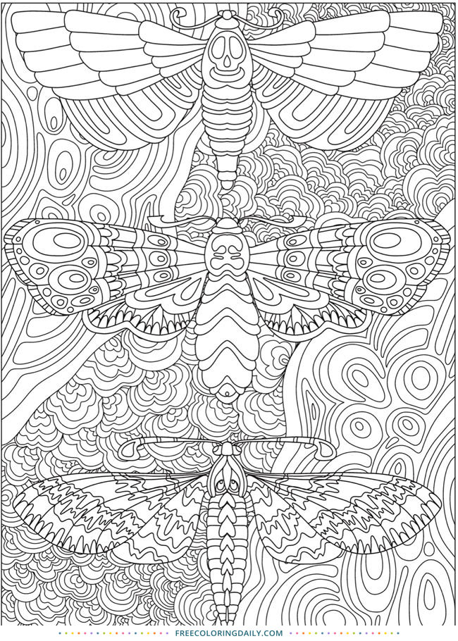 Free Fancy Moths Coloring Page